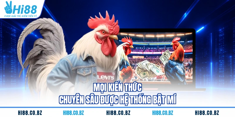 Mọi kiến thức chuyên sâu được hệ thống bật mí