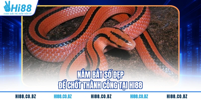 Nắm bắt số đẹp để chốt thành công tại HI88